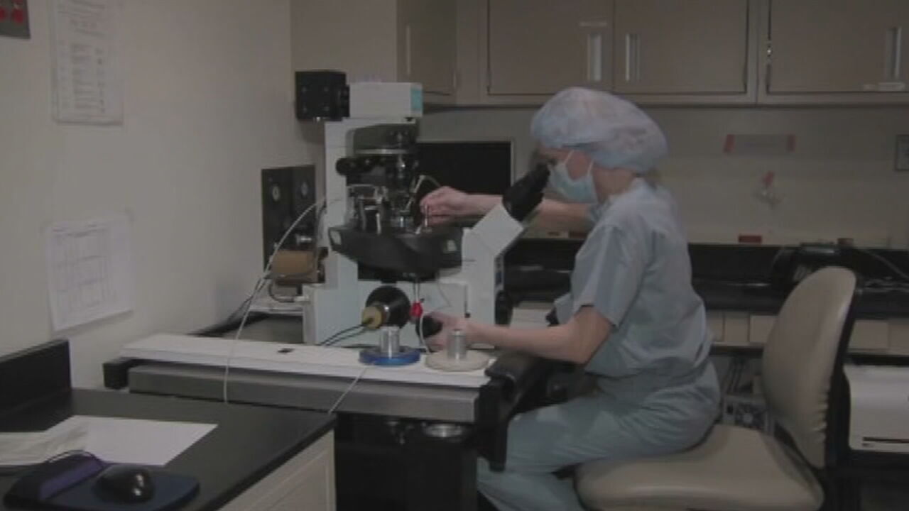 IN FERTILITY DOCTOR